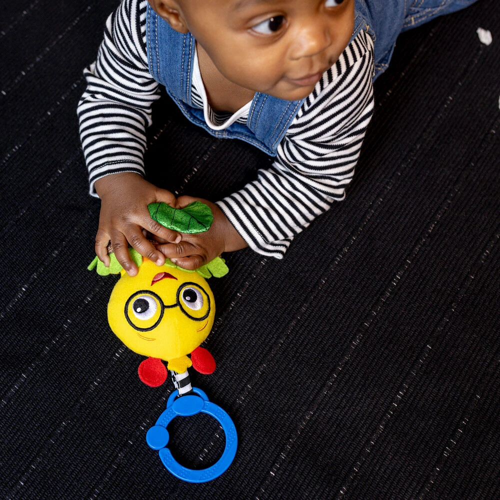 Jouet Cal-a-Puller Pull & Shake Toy de Baby Einstein