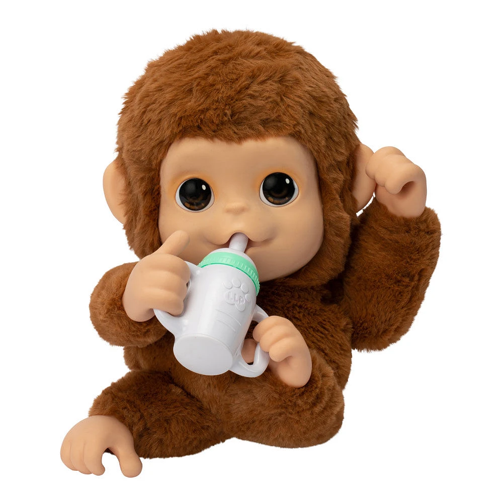 Little Live Animaux Mon Bébé Singe Peluche Single Pk