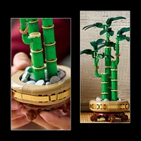 LEGO Botanique Le bambou de la chance, Décoration de plante, Cadeau pour les femmes, les hommes et les amoureux de la nature 10344