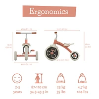 Chillafish Ziggi Tricycle Salmon