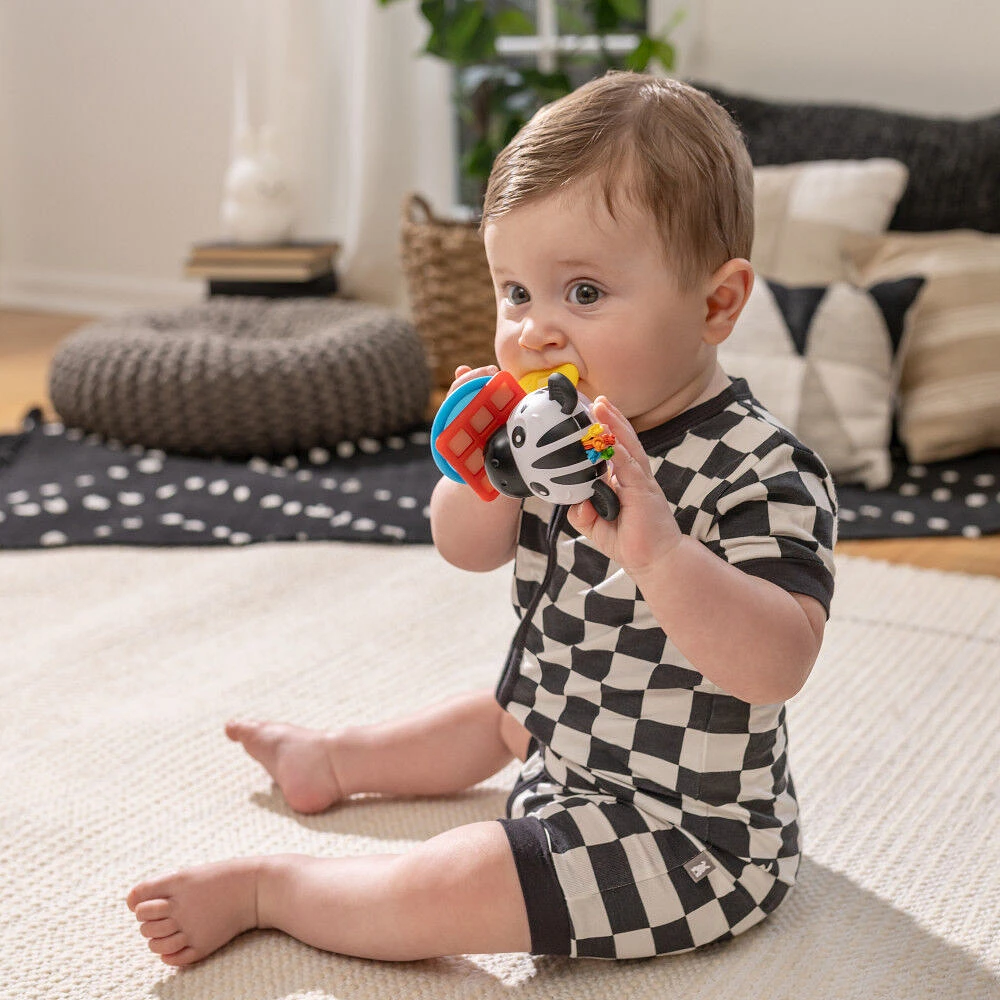 Baby Einstein Shake-a-Shape Zen Teether Toy