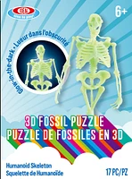 Ideal Novelty - 3D Fossil Puzzle