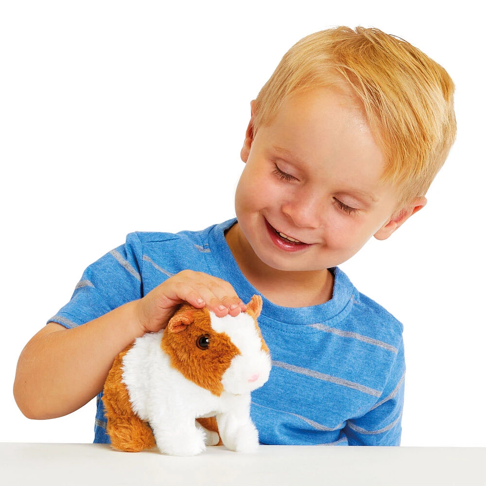 Pitter Patter Pets Lively Little Guinea Pig - R Exclusive