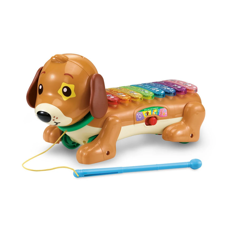 VTech Elton, mon rouli xylophone Jungle Rock