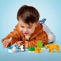 LEGO DUPLO Familles d'animaux sauvages : Pingouins et lions Jouet d'imagination pour un jeu créatif 10442