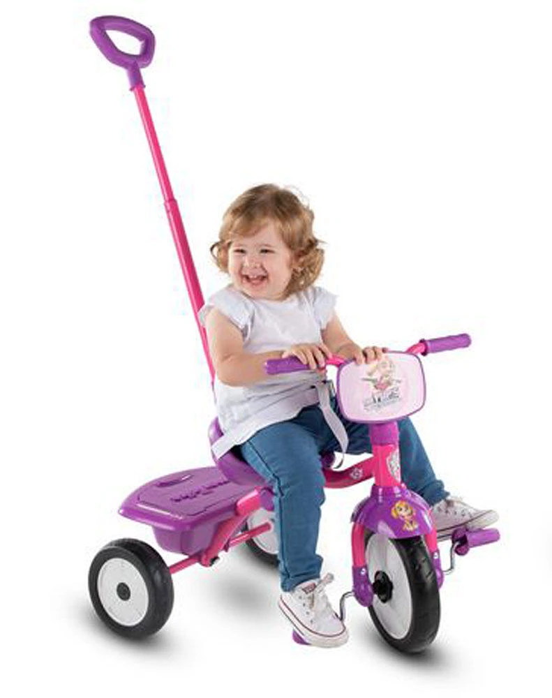 smarTrike Paw Patrol 2 in 1 Folding Fun Trike