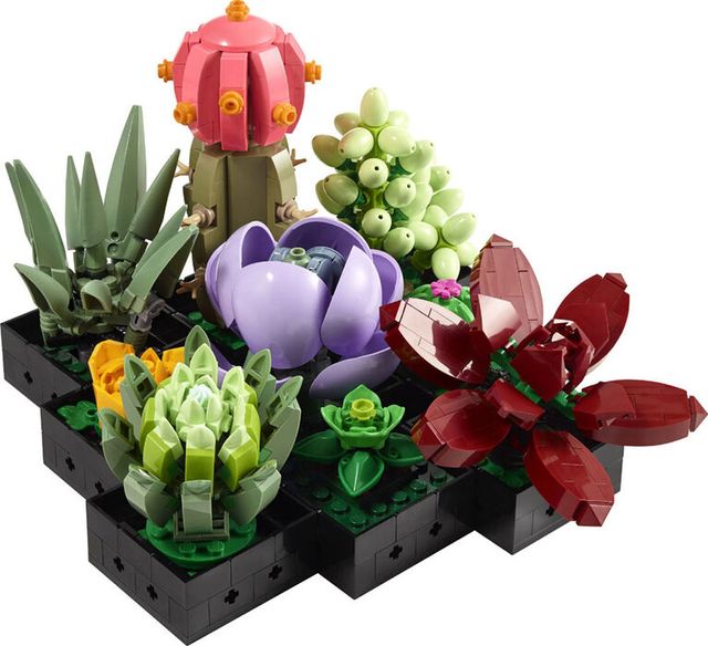 LEGO Botanical Almanac: A Field Guide to Brick-Built Blooms: LEGO:  9781797227801: : Books