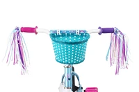 Little Miss Matched Bike - 12 inch - R Exclusive