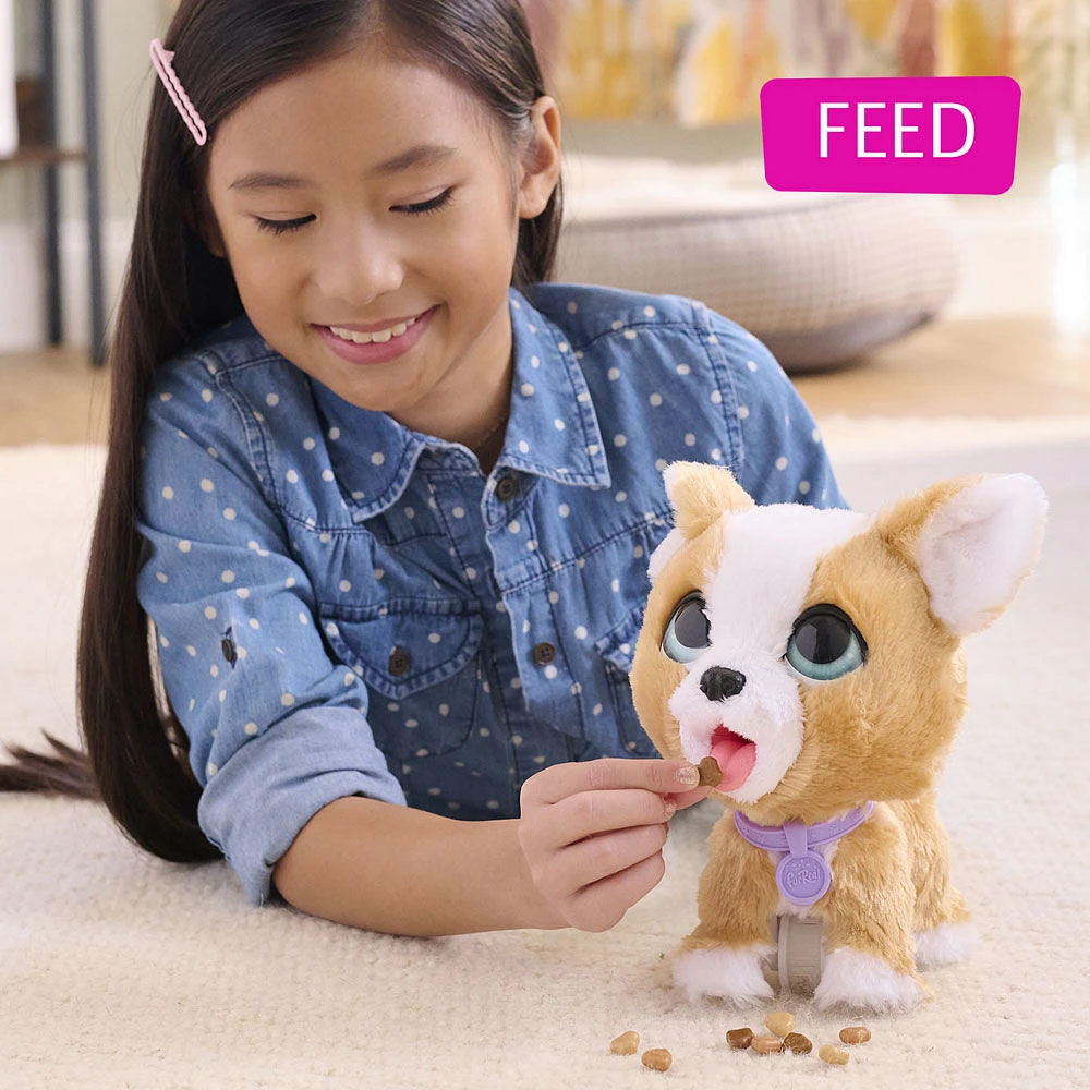 Peluche corgi interactive FurReal