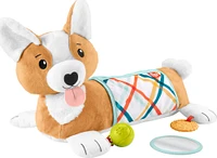 Fisher-Price 3-in-1 Puppy Tummy Wedge