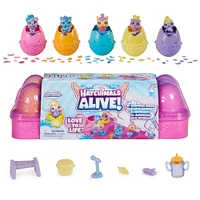 Hatchimals Alive, Egg Carton Jouet avec 5 mini figurines dans des oeufs qui éclosent tout seuls, 11 accessoires