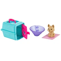 Barbie Vétérinaire et Accessoires avec Poupée Brune