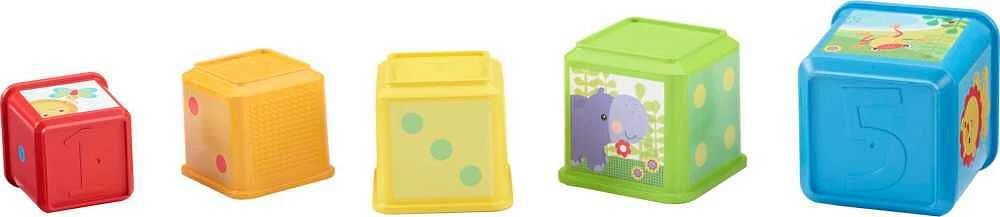 Fisher-Price Stack and Explore Blocks