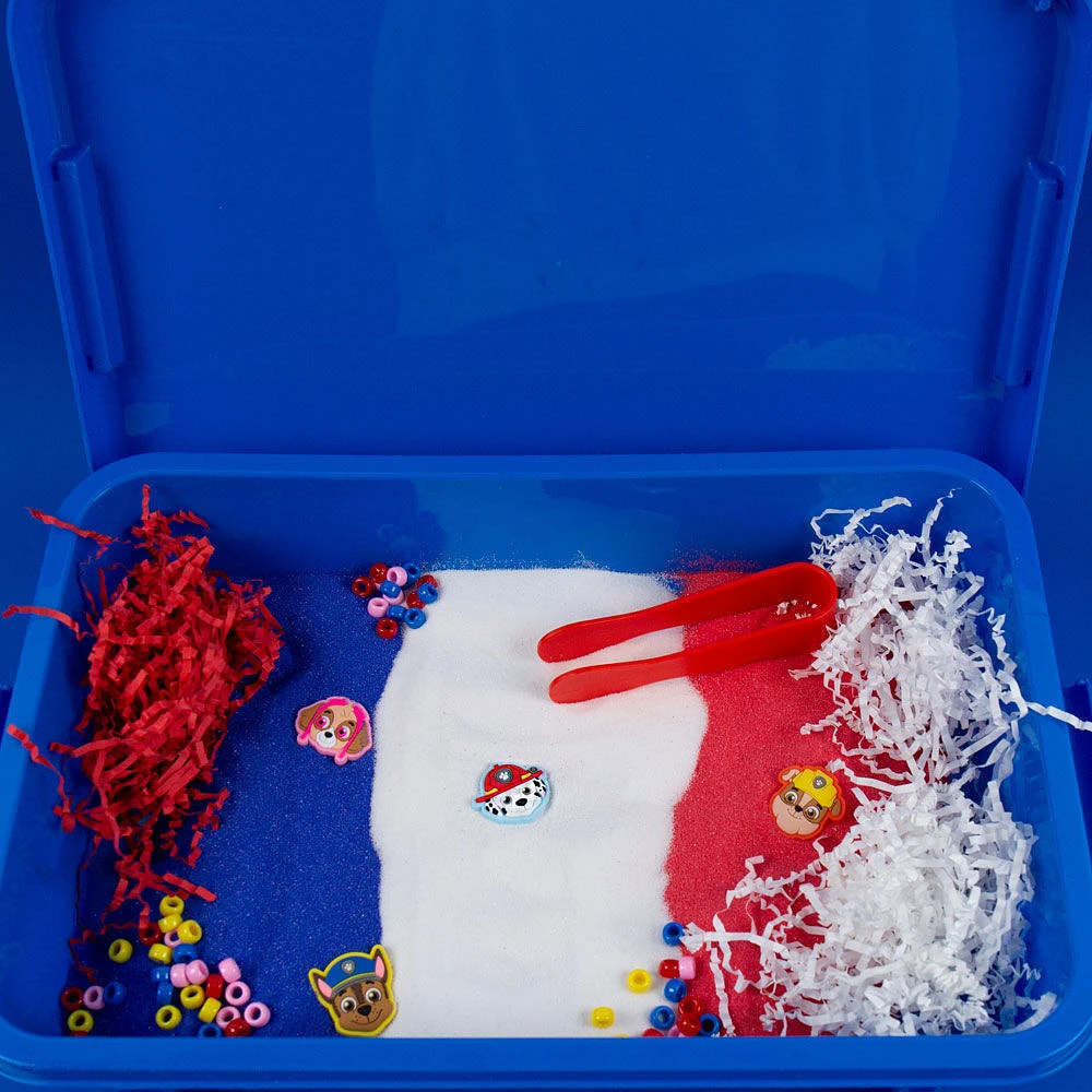 Paw Patrol Seek & Find Sensory Bin