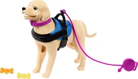 Coffret de poupée Barbie et chien d'assistance avec fauteuil roulant, rampe et accessoires, poupée