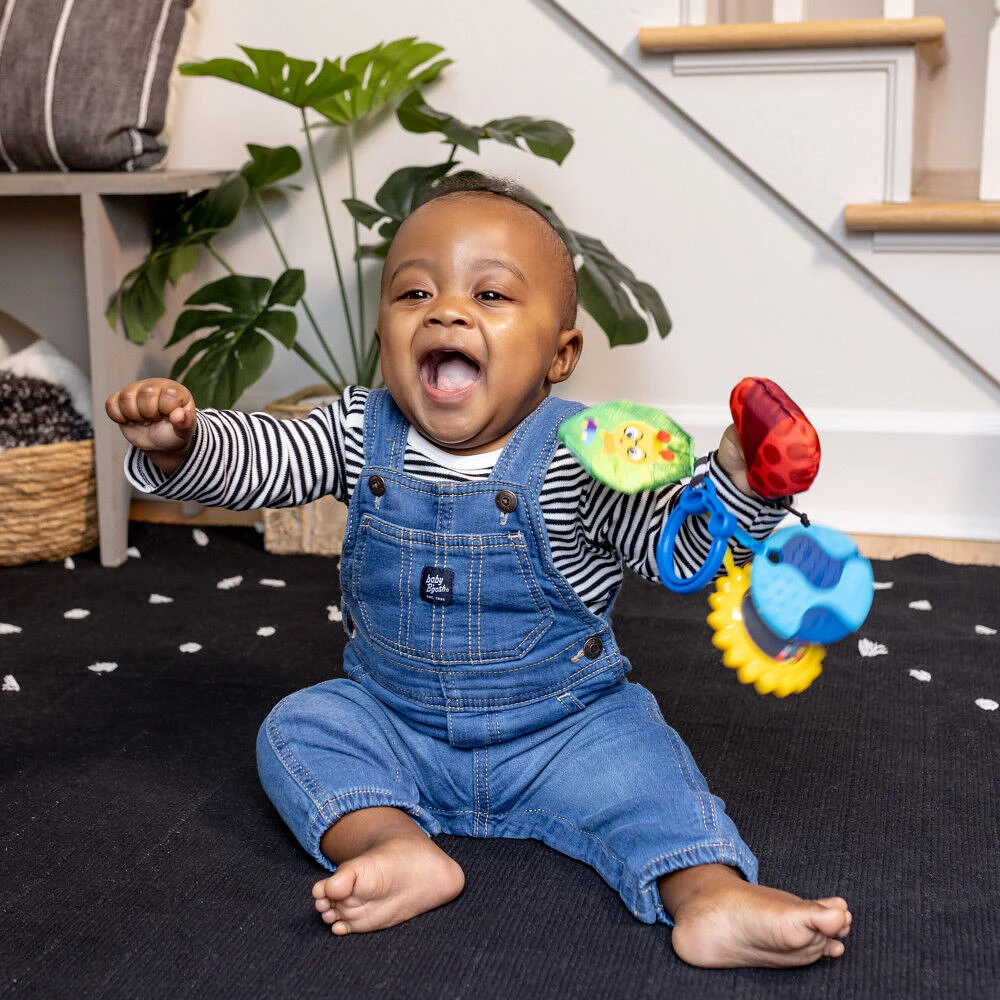 Baby Einstein Touch of Nature Sensory Toy