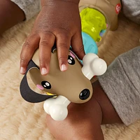 Fisher-Price-Chiot Sensoriel à Faire Cliquer et Tourner