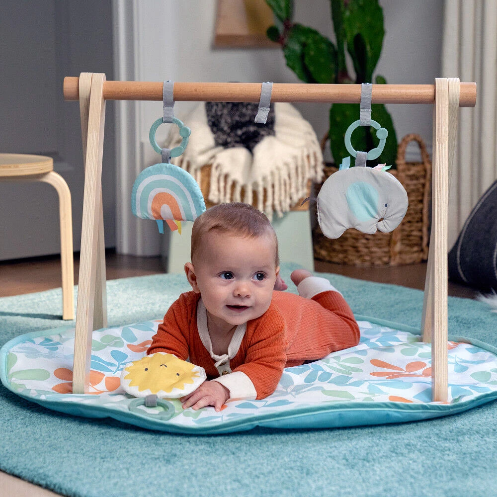 Arc d'activités naturelles d'Ingenuity Sun Valley Wooden Toy Arch et tapis d'éveil Play Mat