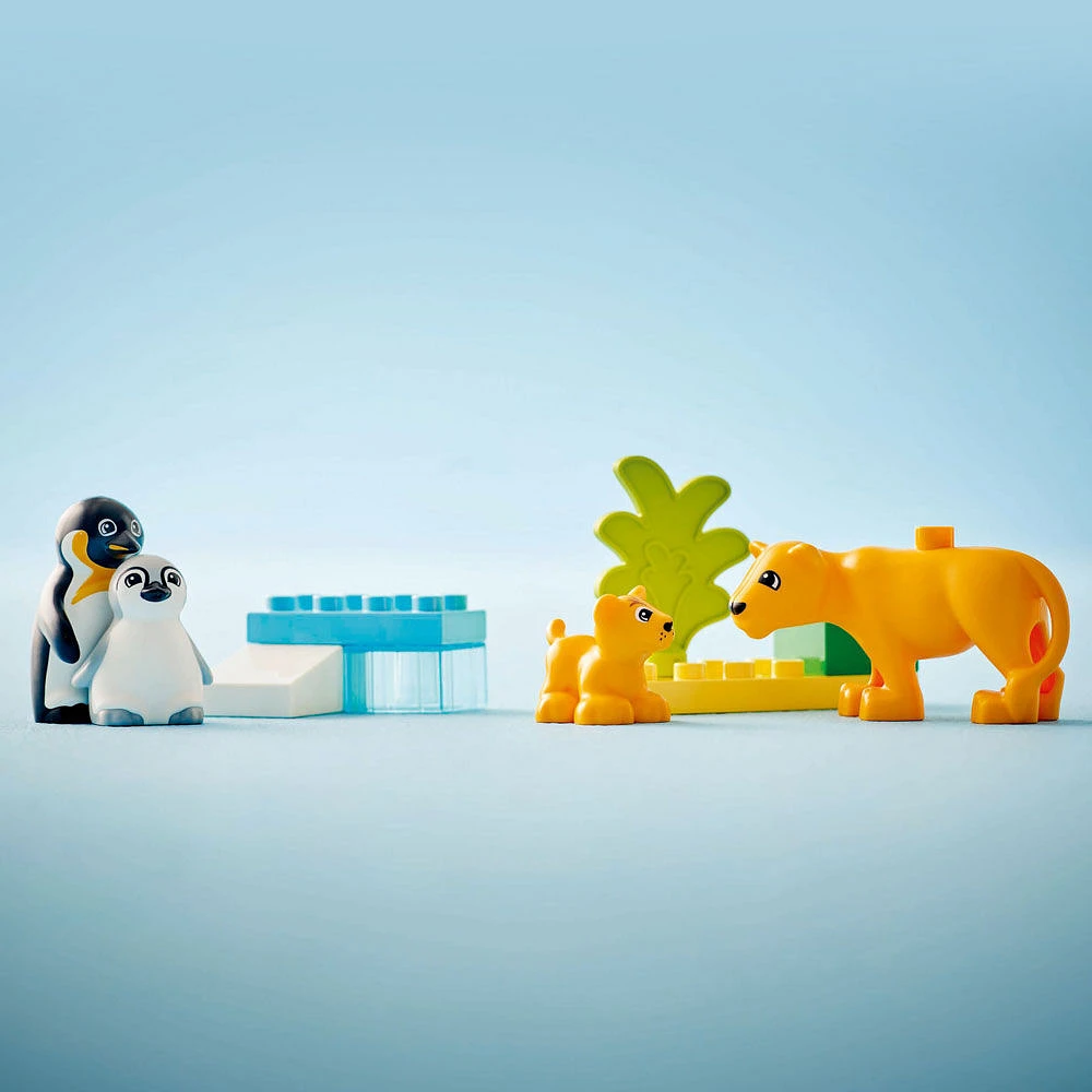 LEGO DUPLO Familles d'animaux sauvages : Pingouins et lions Jouet d'imagination pour un jeu créatif 10442