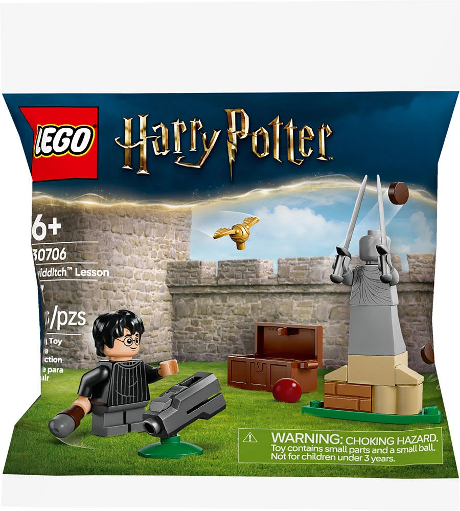 LEGO Harry Potter Quidditch Lesson Building Set - with Harry Potter Minifigure, Snitch, and Quaffle - 30706