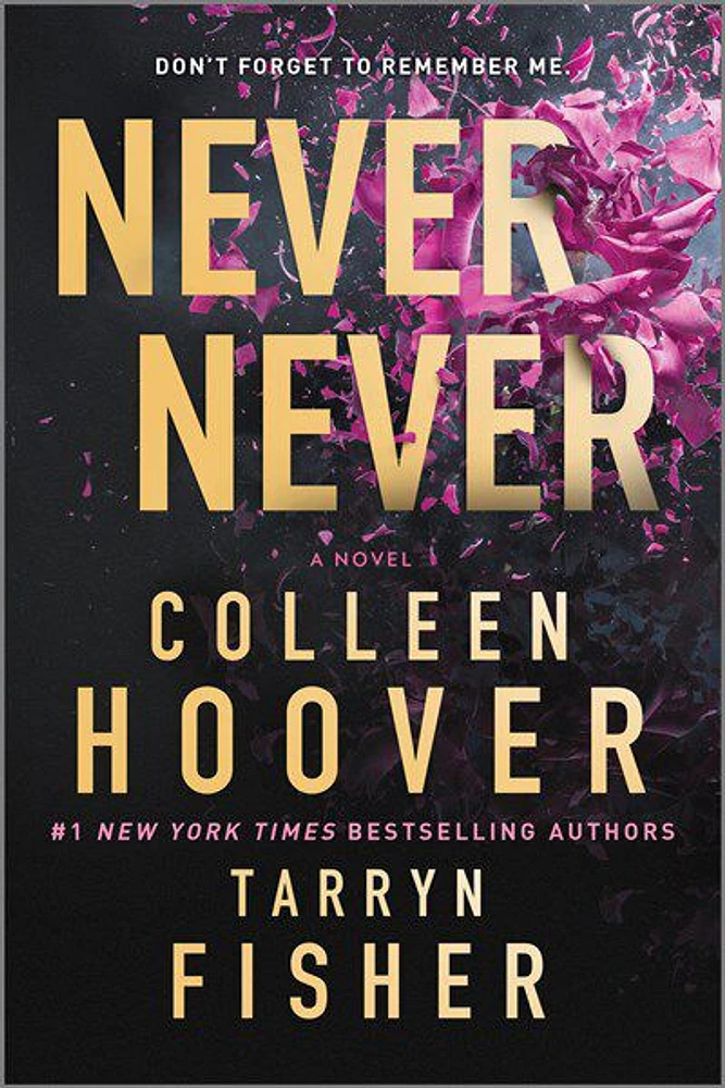 Never Never - English Edition