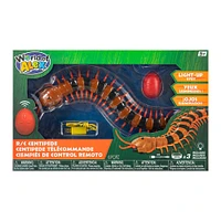 RC Centipede