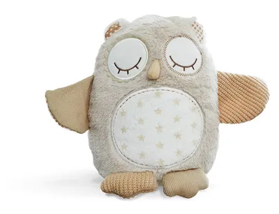 Cloud B Nighty Night Owl 8 Sounds Smart Sensor