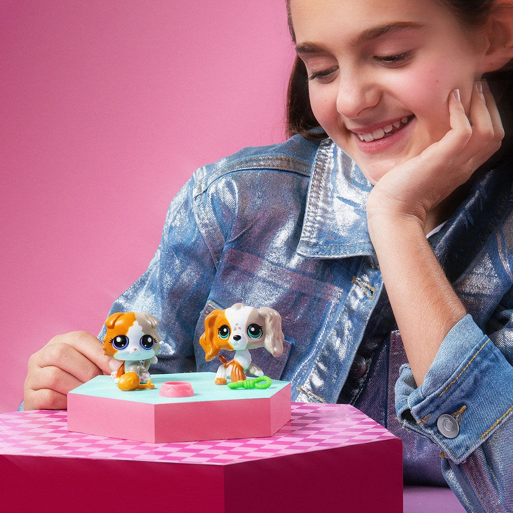 Littlest Pet Shop - Pet Pairs 2-Pack Sosies