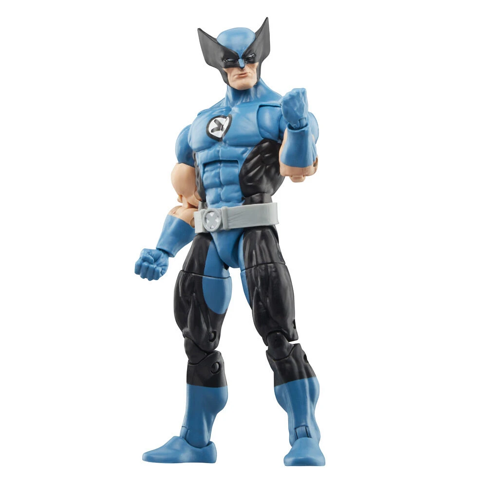 Marvel Legends Series Wolverine and Spider-Man, Fantastic Four Action Figures