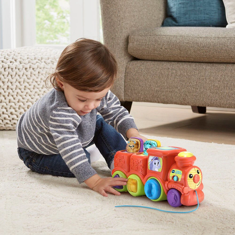 VTech Roul'train cache-cache des P'tits loulous - Édition française