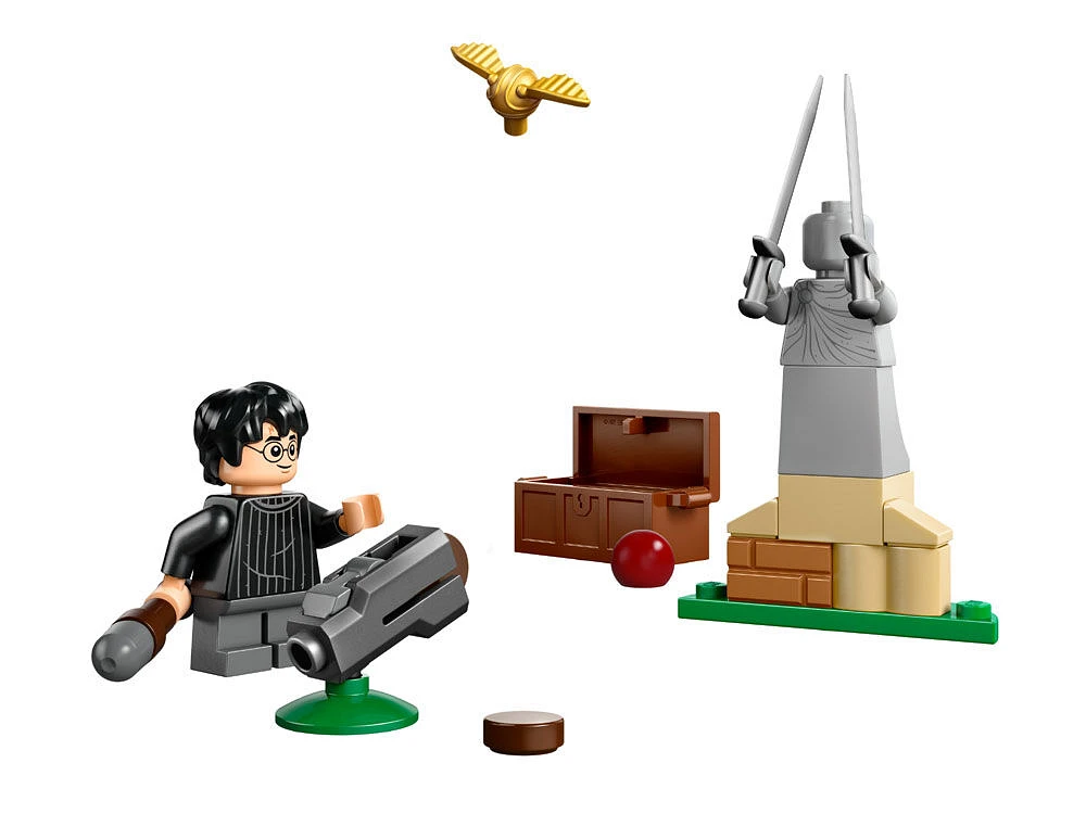 LEGO Harry Potter Quidditch Lesson Building Set - with Harry Potter Minifigure, Snitch, and Quaffle - 30706