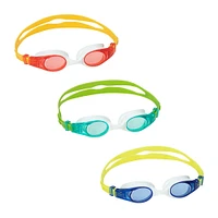 Accelera Goggles