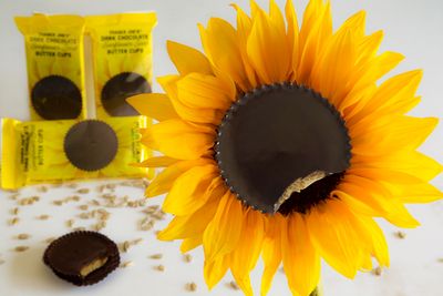 Dark Chocolate Sunflower Seed Butter Cups