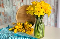 Daffodils Big Bunch - 20 Stems