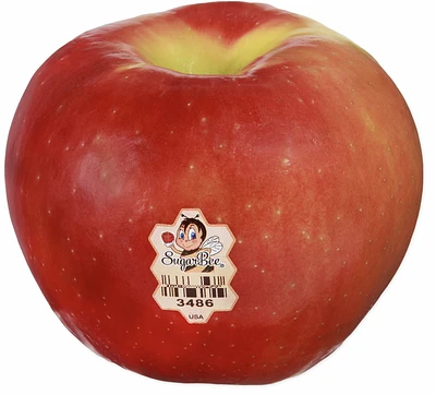 Sugar Bee® Apple