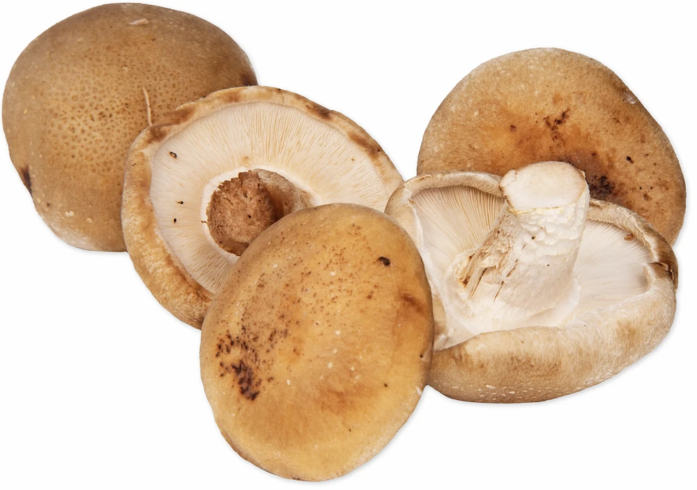 Shiitake Mushrooms