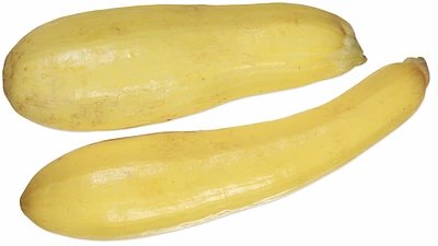 Yellow Squash