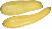 Yellow Squash