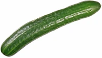 Organic English Cucumber