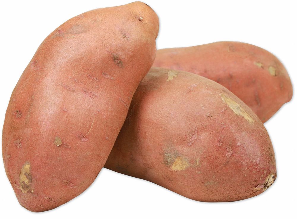 Sweet Potato