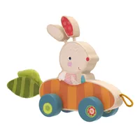 Bunny Pippa Push and Pull Toy