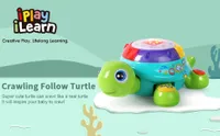 Musical Turtle Toy English & Spanish Learning with Lights and Sounds