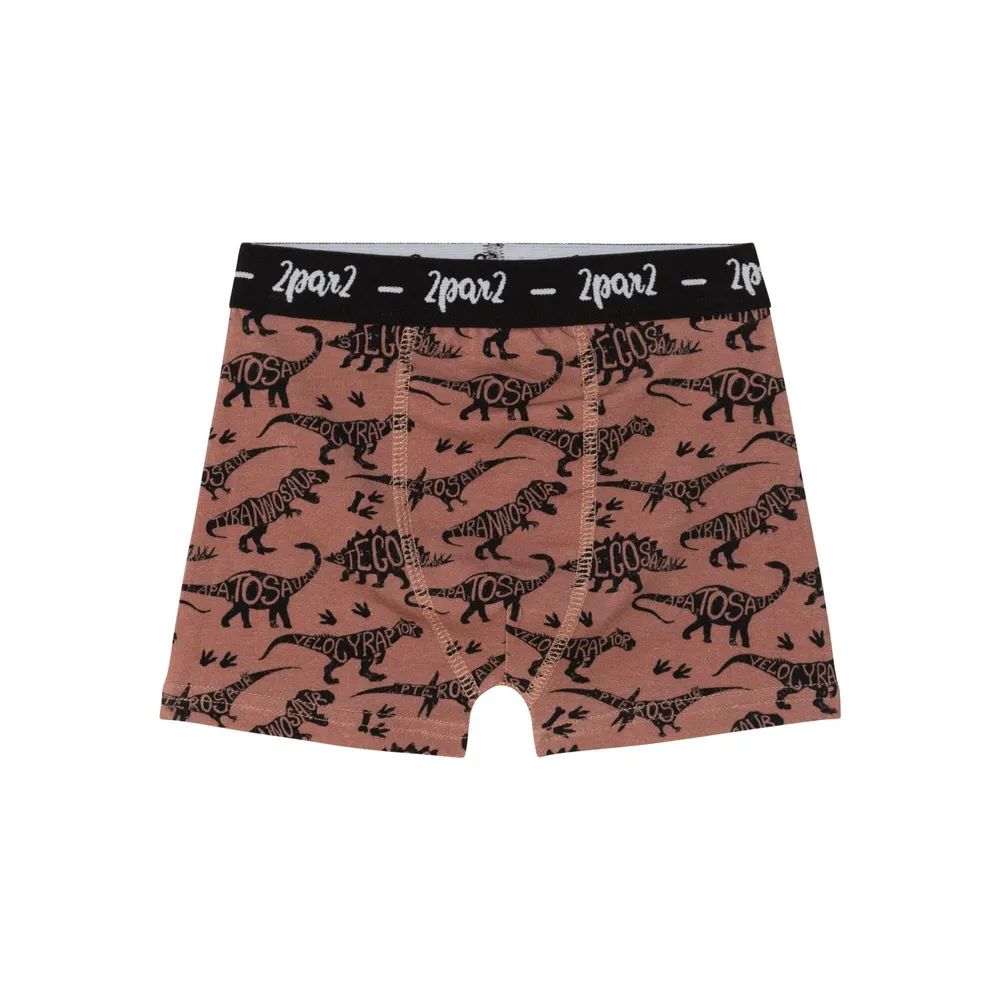 Printed Boxer Short Brown Dinosaurs