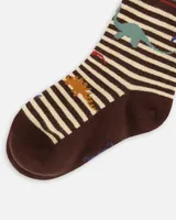 Socks Brown And Beige Stripe