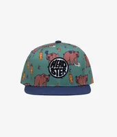 Honey Bear Snapback