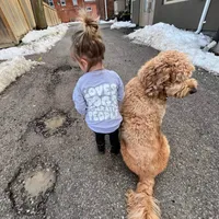 Loves Dogs Sweatshirt