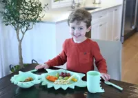 5 Piece Cellulose Feeding Set, Plate, Bowl, Cup, Spoon & Fork