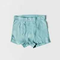 Pastel Collection Boxer Briefs - [2 pairs]