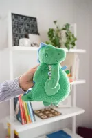 Itzy Lovey Plush with Silicone Teether Toy | James the Dino