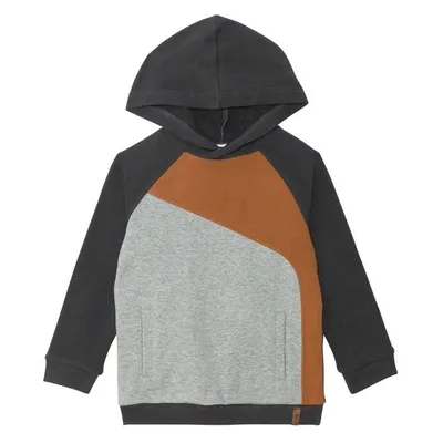 Hooded Fleece Sweatshirt Colorblock Brown
